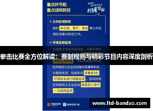 拳击比赛全方位解读：赛制规则与精彩节目内容深度剖析