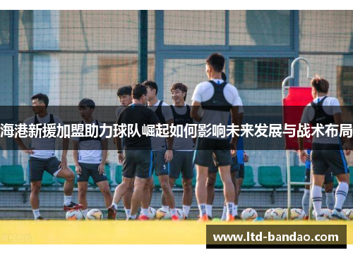 海港新援加盟助力球队崛起如何影响未来发展与战术布局