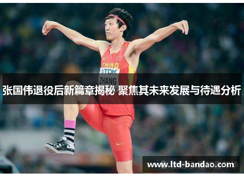 张国伟退役后新篇章揭秘 聚焦其未来发展与待遇分析